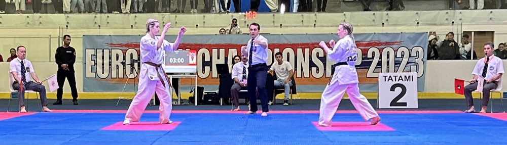 Crawley Dojo
